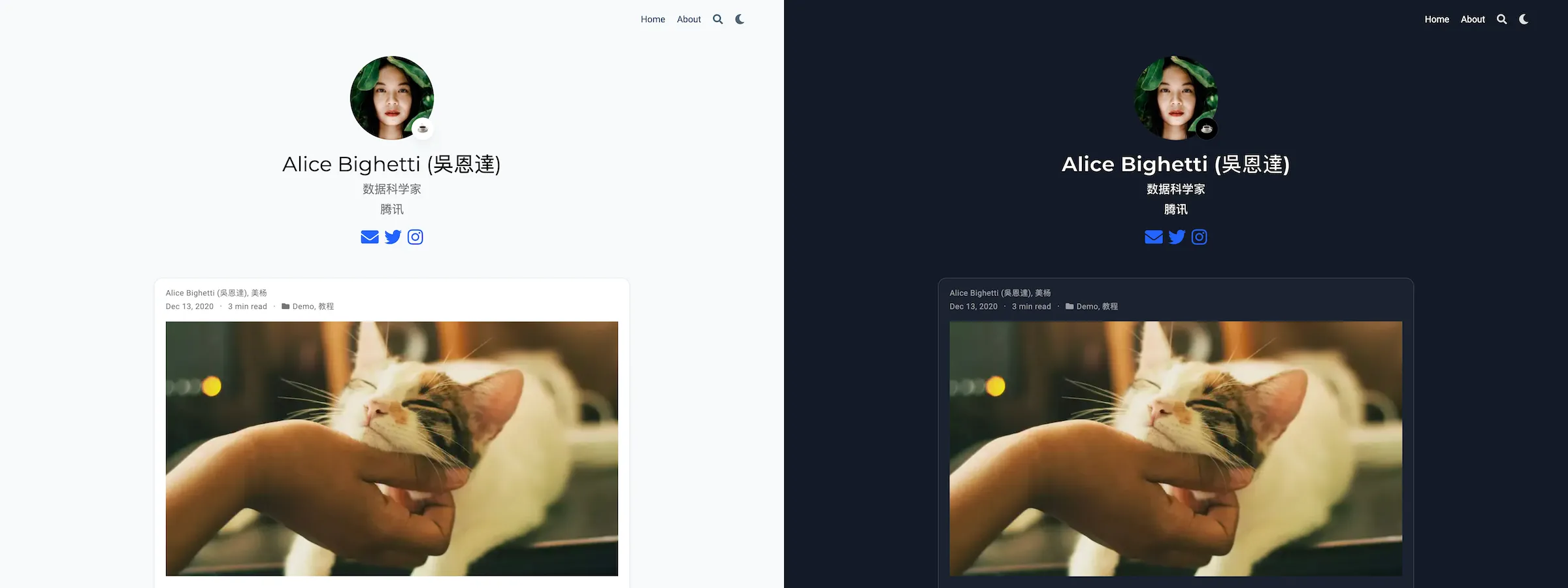 hugo-blog-theme2 网站模板截图