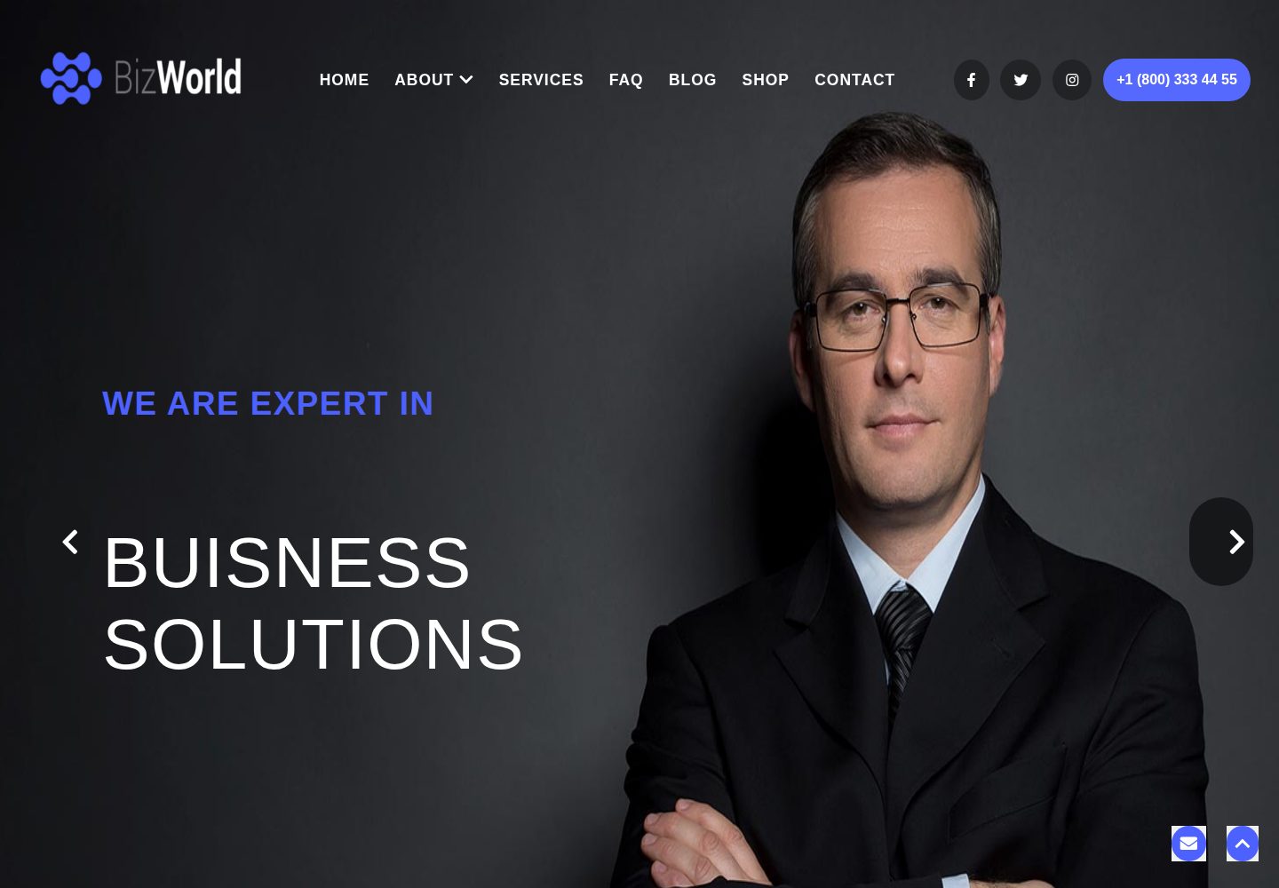 Biz-world 网站模板截图
