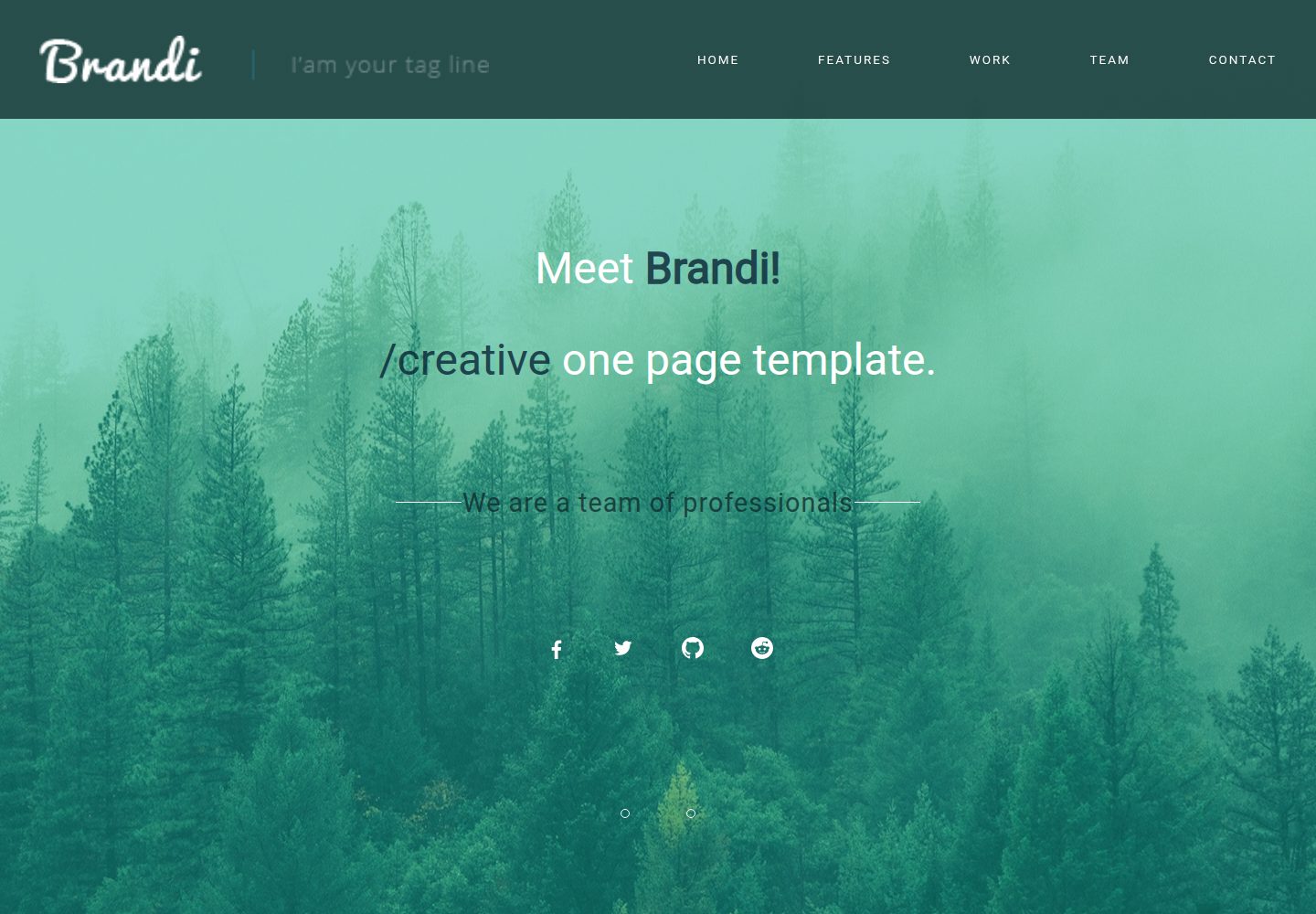 Brandi-Website-Template 网站模板截图