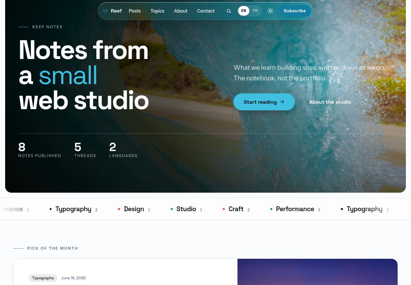 reef 网站模板截图