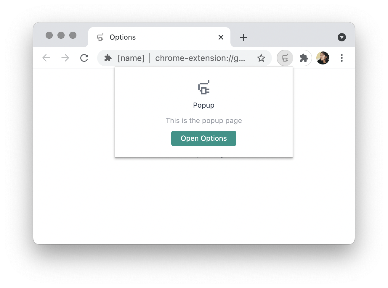 vitesse-webext 网站模板截图