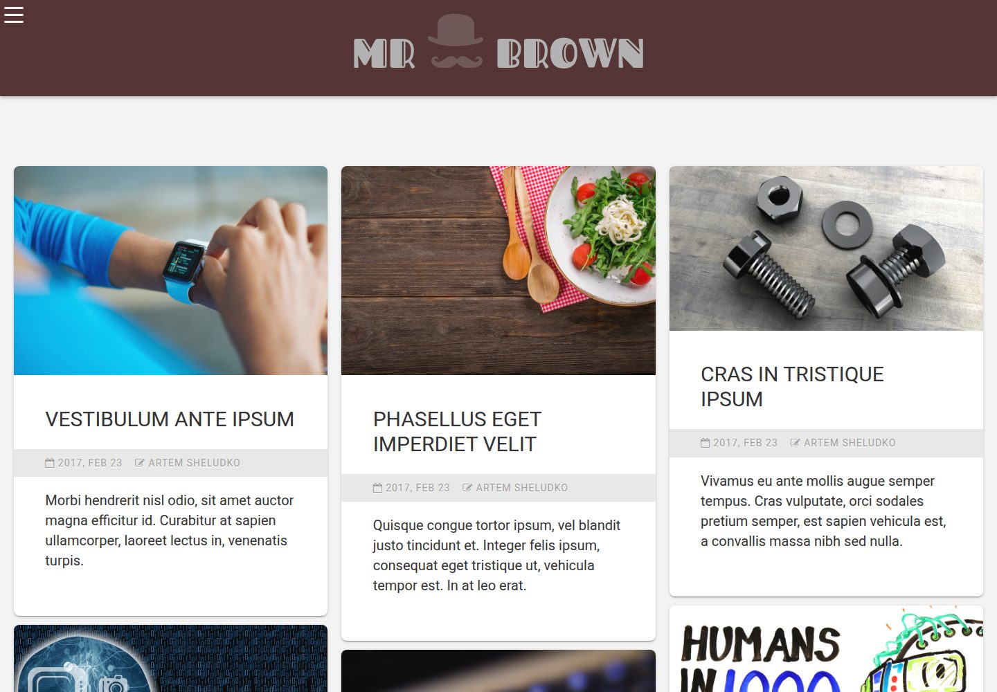 mr-brown 网站模板截图