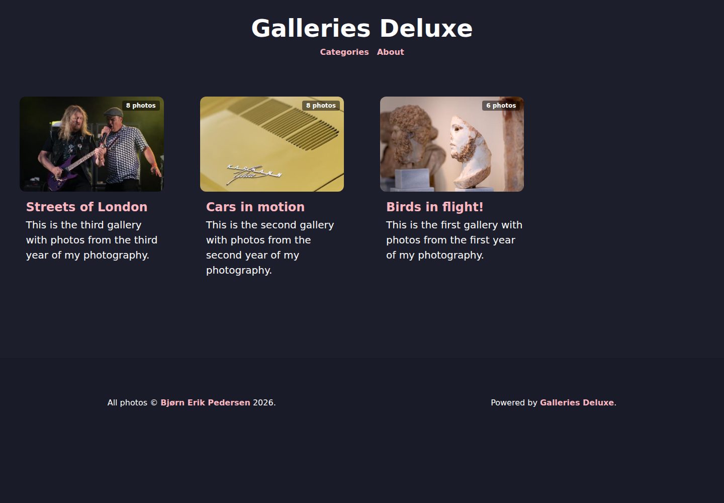 galleriesdeluxe 网站模板截图
