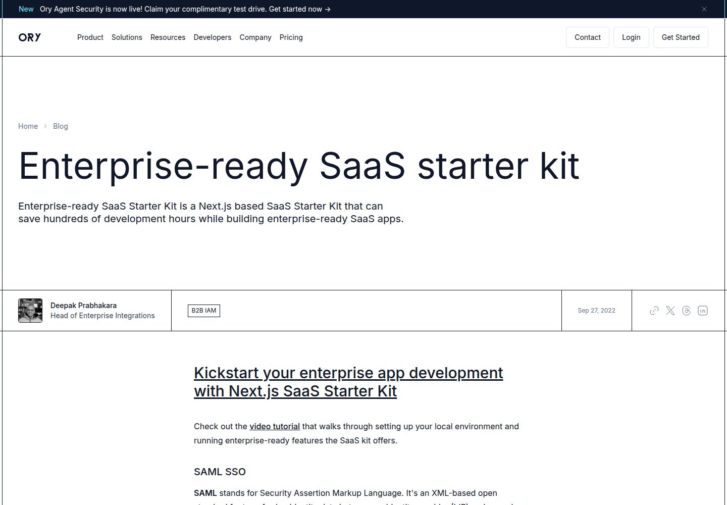 saas-starter-kit 网站模板截图