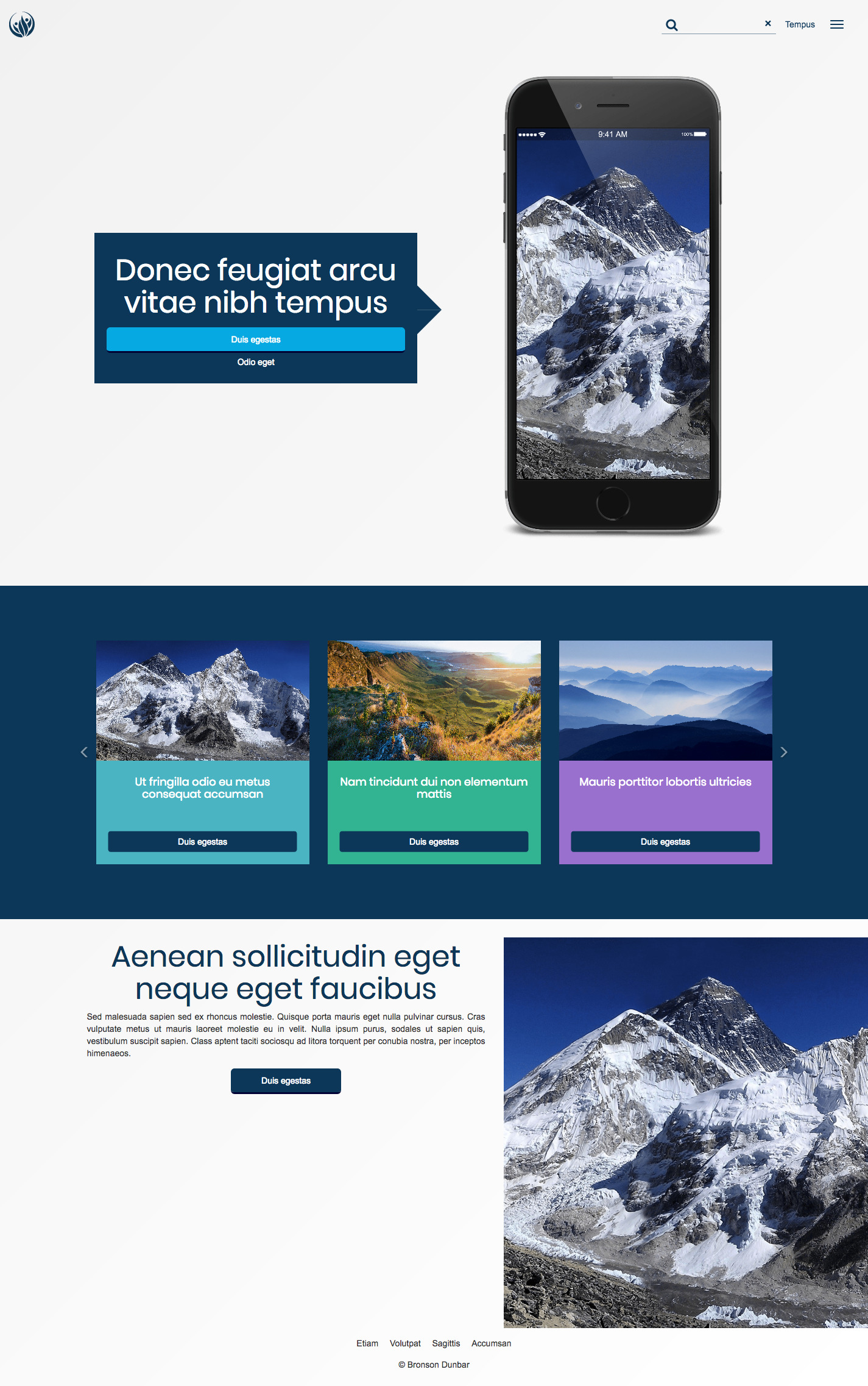 alpha-template 网站模板截图
