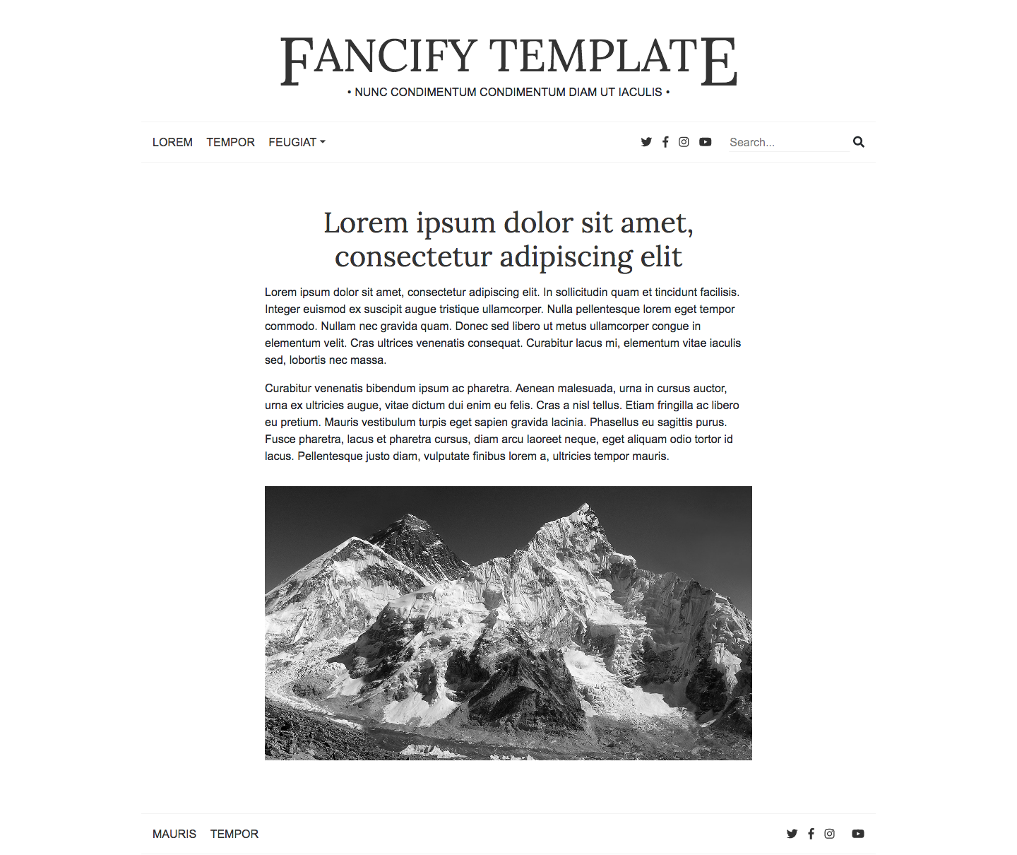 fancify-template 网站模板截图