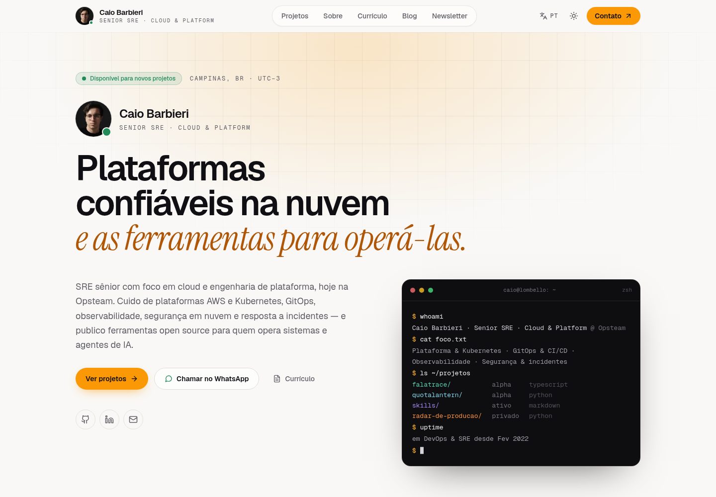 portfolio 网站模板截图