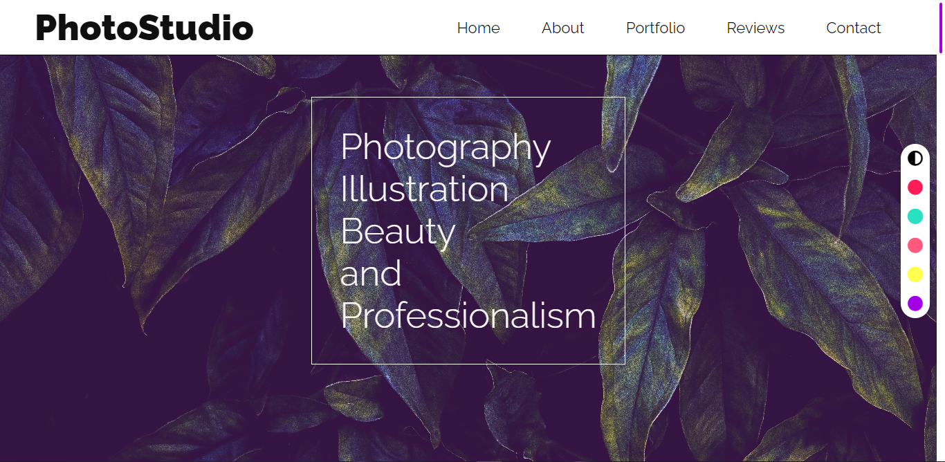 Responsive-Portfolio-PhotoStudio-Website-Theme 网站模板截图
