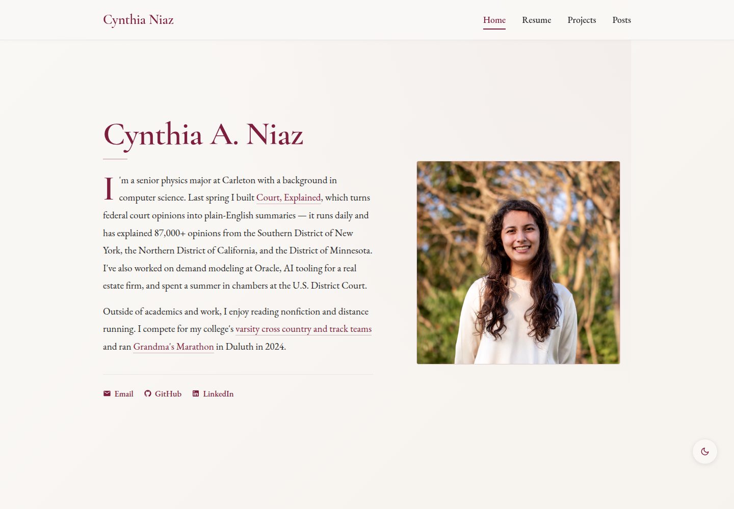 portfolio-template · Desktop homepage