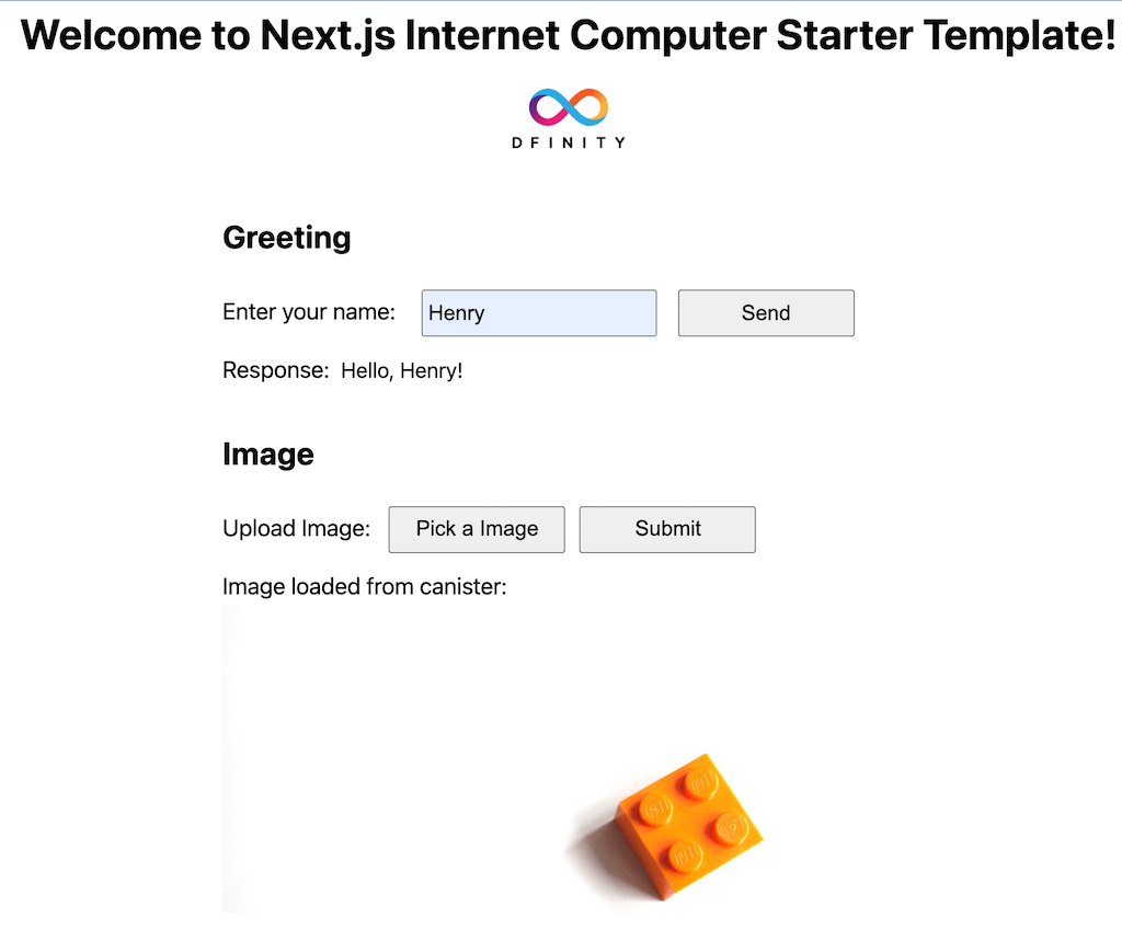 nextjs-ic-starter 网站模板截图