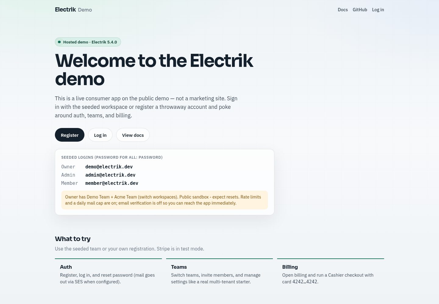 electrik 网站模板截图