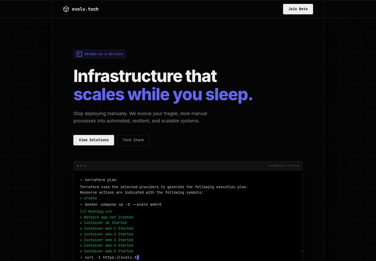 website 网站模板截图
