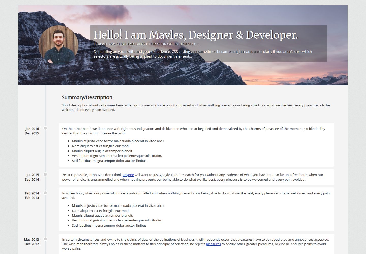 timeline.Portfolio 网站模板截图