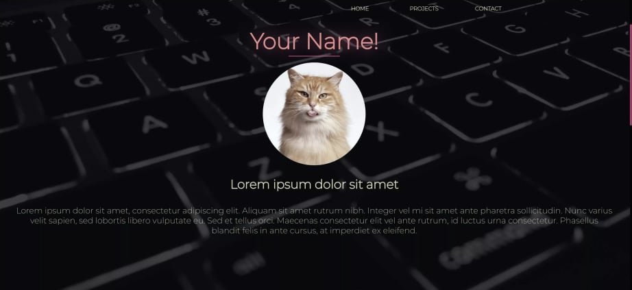 portfolio-template 网站模板截图