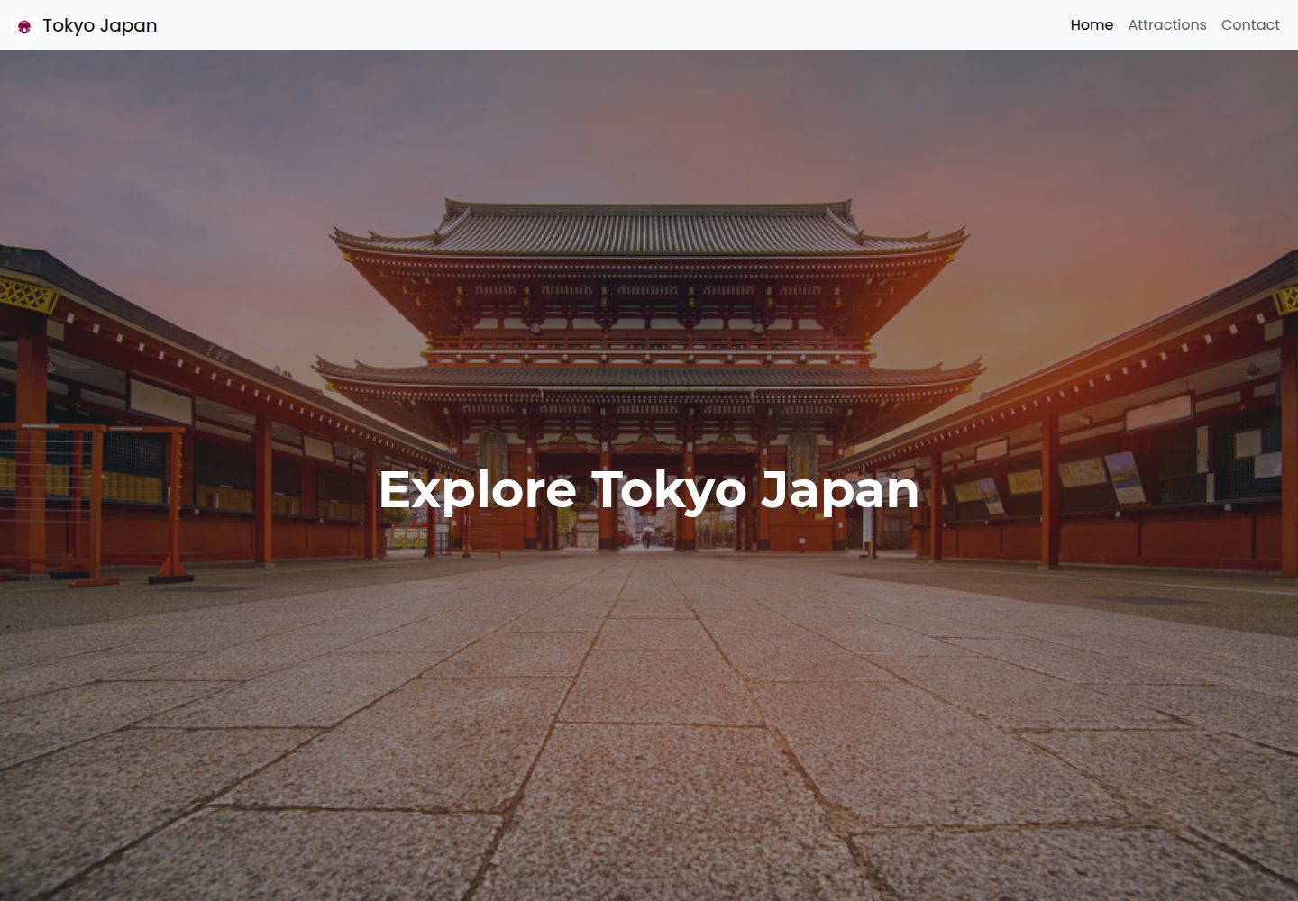 tokyo-japan 网站模板截图