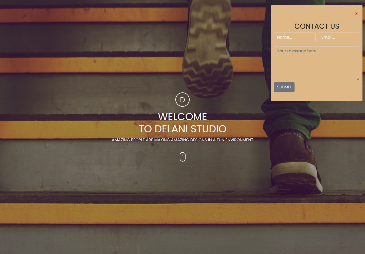 delani-studio-template · Desktop homepage