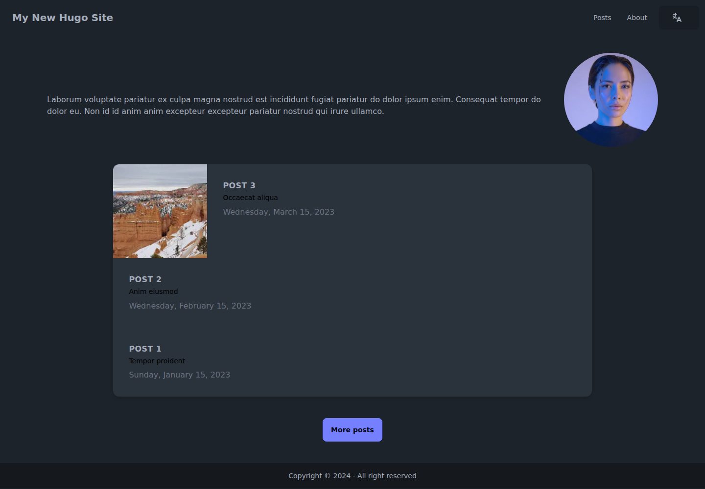hugo-theme-daisyui · Desktop homepage