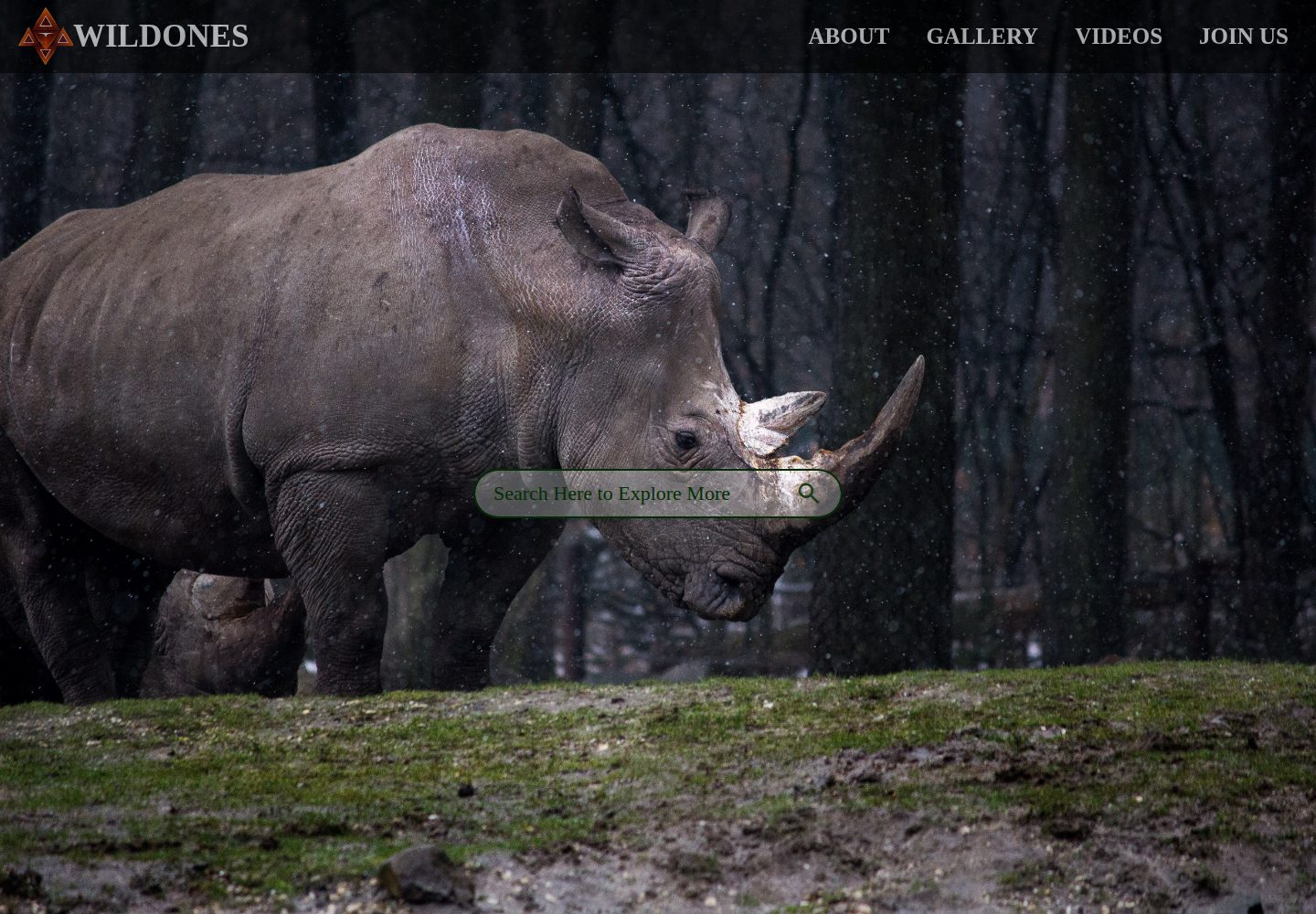 Wildlife-Photography-website 网站模板截图
