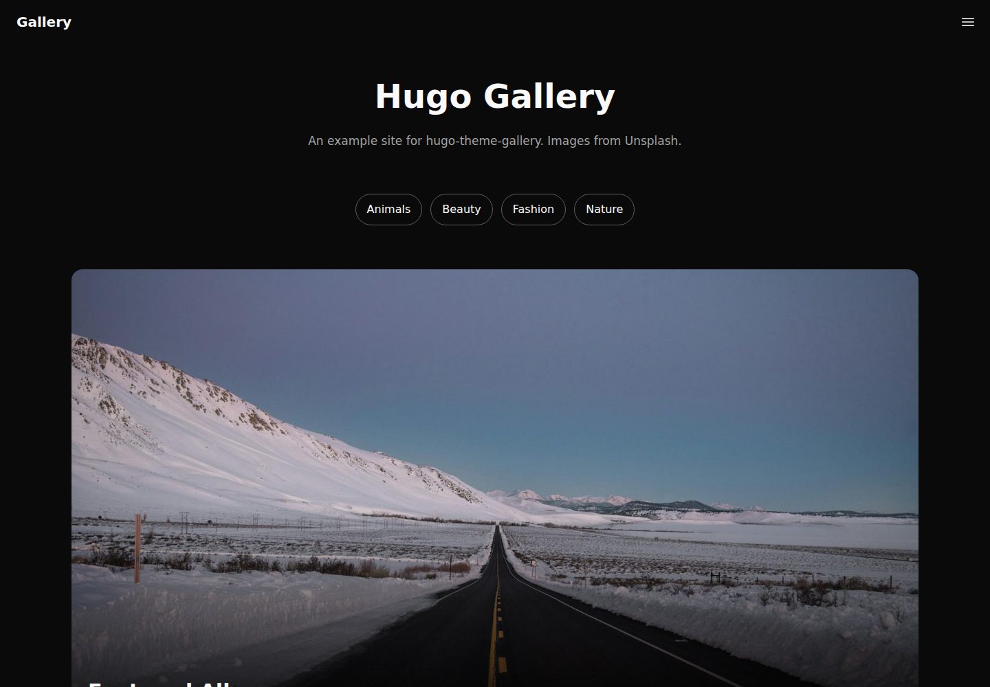 hugo-theme-gallery 网站模板截图