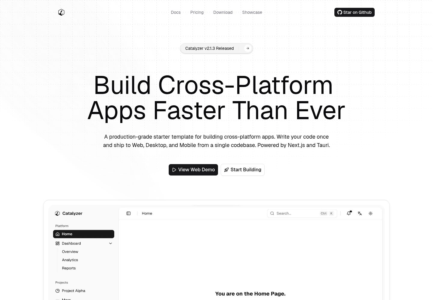 catalyzer 网站模板截图