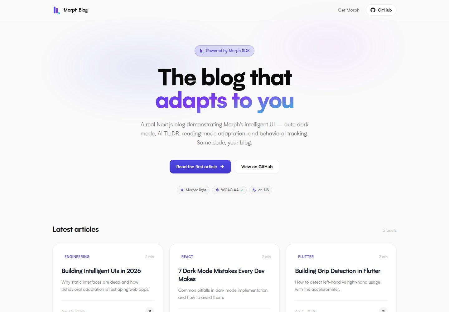 morphui-nextjs-blog · Desktop homepage