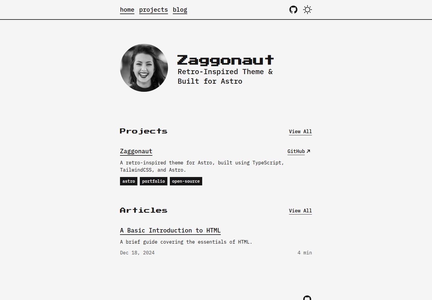 zaggonaut 网站模板截图