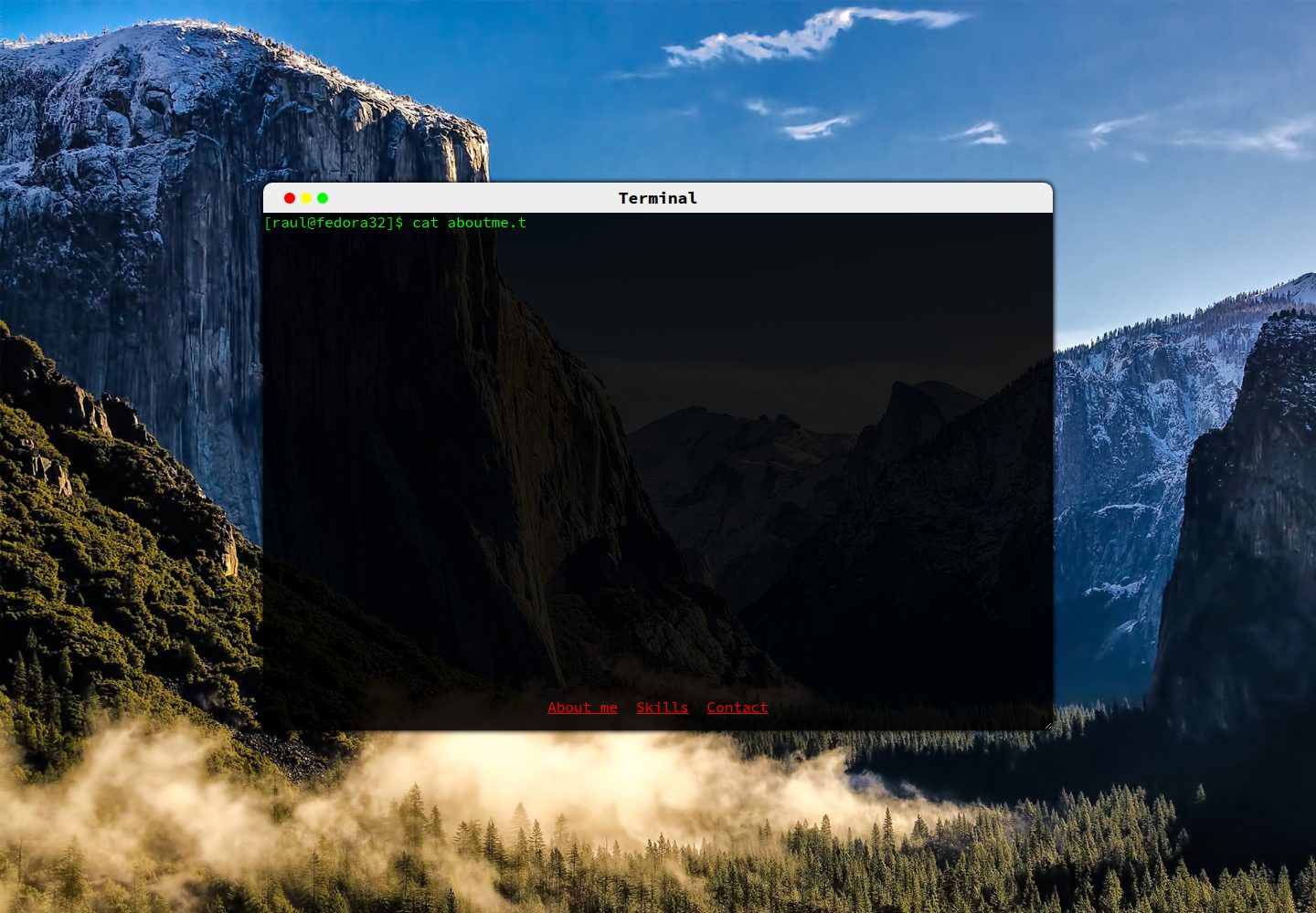 portfolioInTerminal 网站模板截图