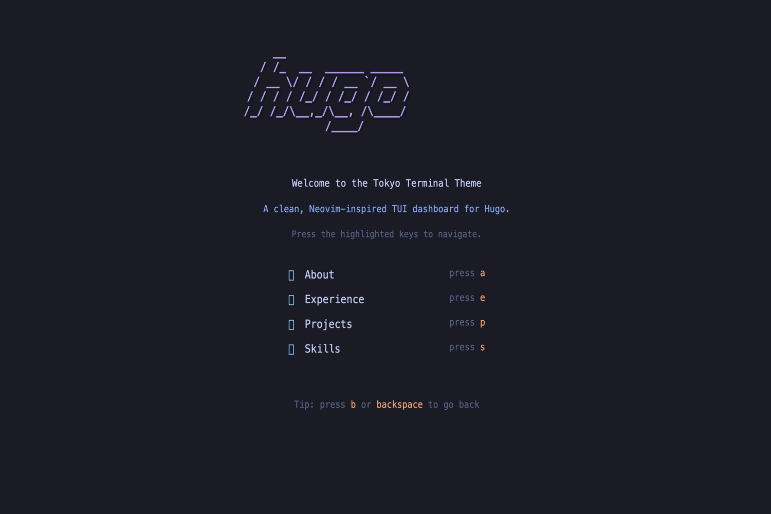 hugo-tokyo-night-terminal-theme 网站模板截图