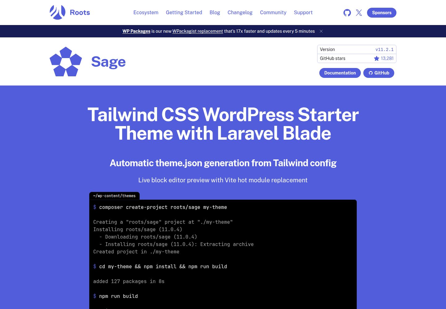 sage 网站模板截图