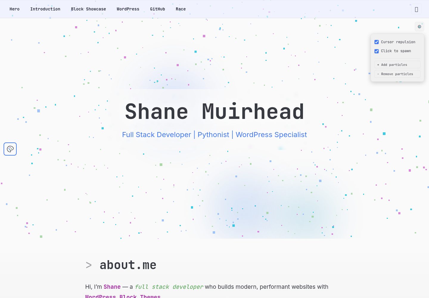 Block-Theme-Portfolio 网站模板截图
