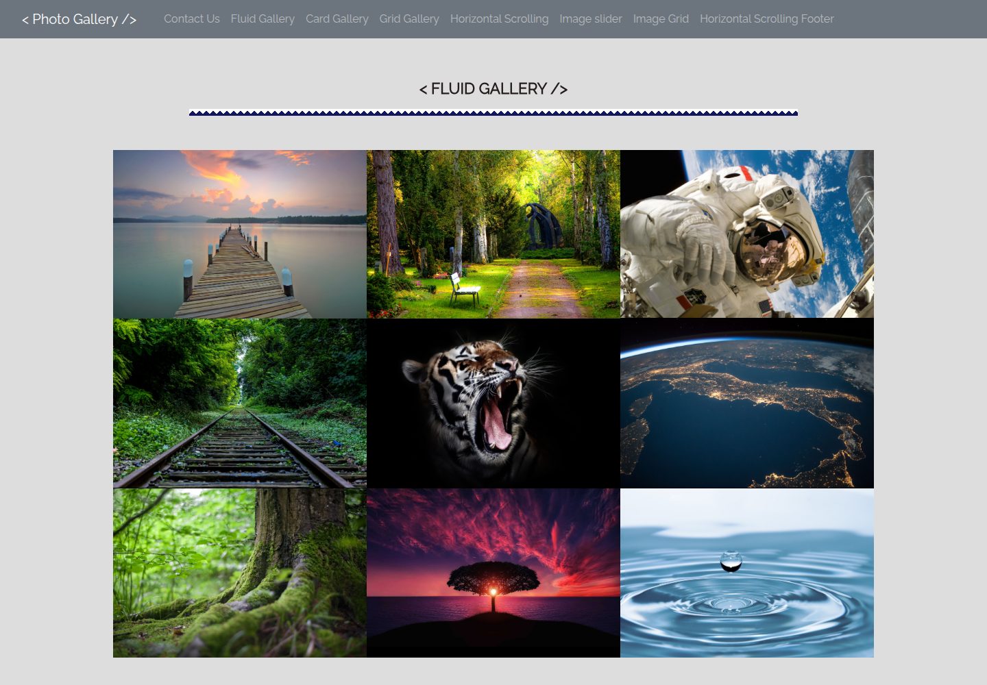 photo-gallery-img-template 网站模板截图