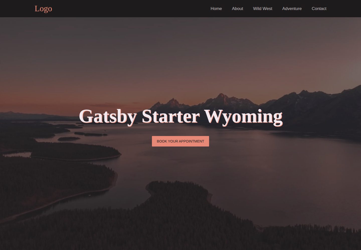gatsby-starter-wyoming 网站模板截图