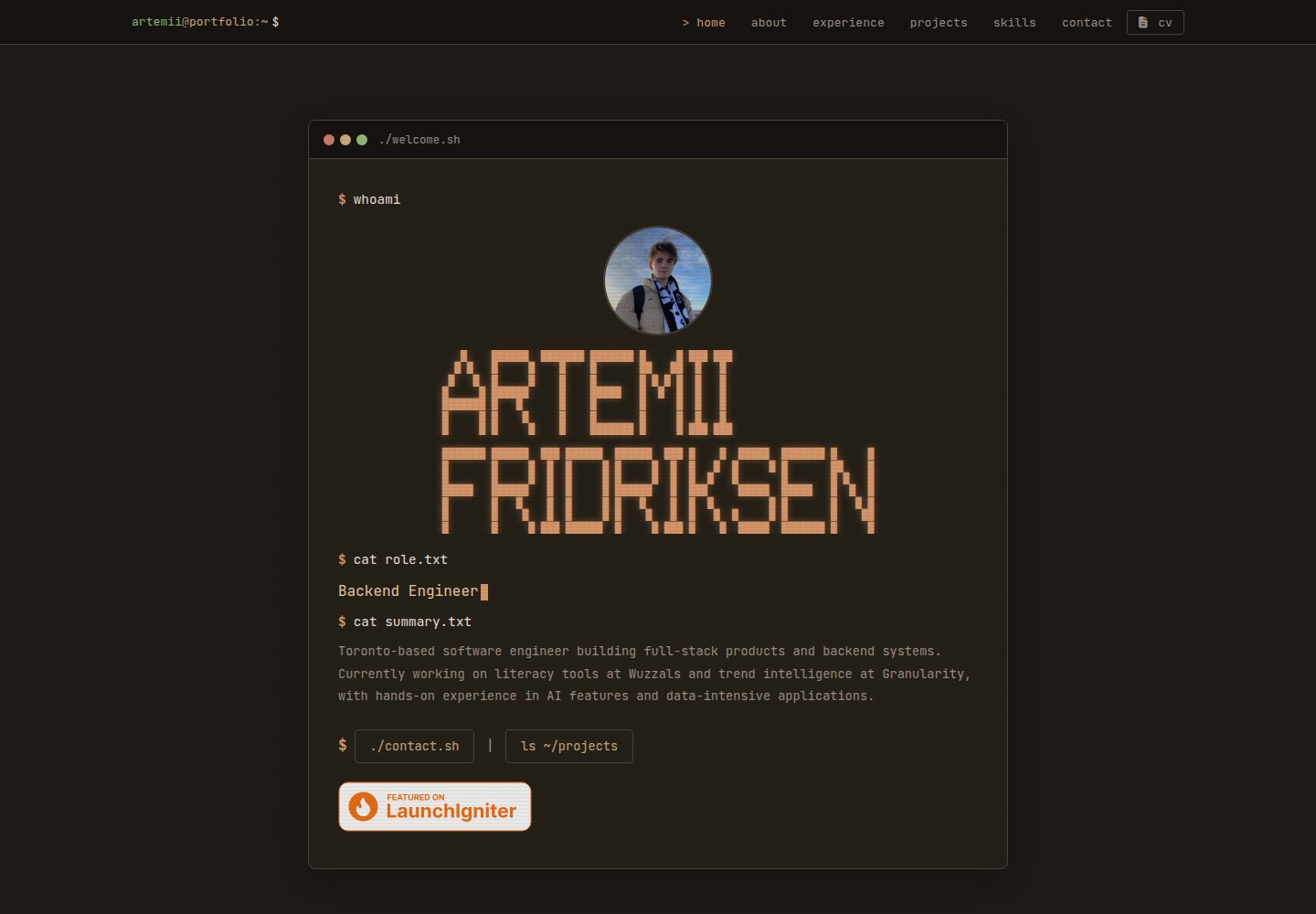artemiifrid_portfolio 网站模板截图