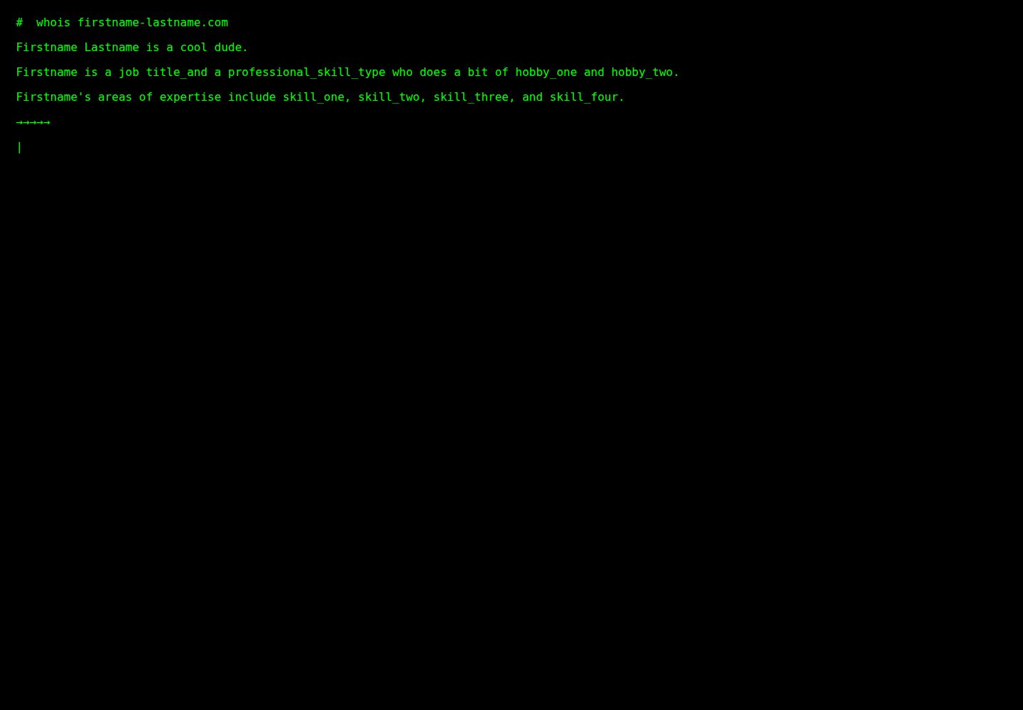 TEMPLATE_biz_card_terminal_website 网站模板截图
