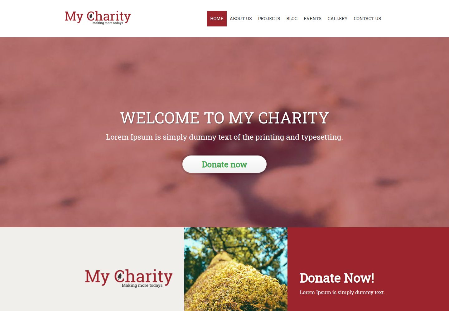 charity_responsive-template 网站模板截图