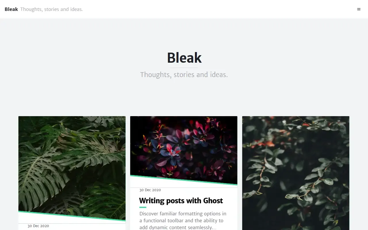 bleak · 桌面端首页