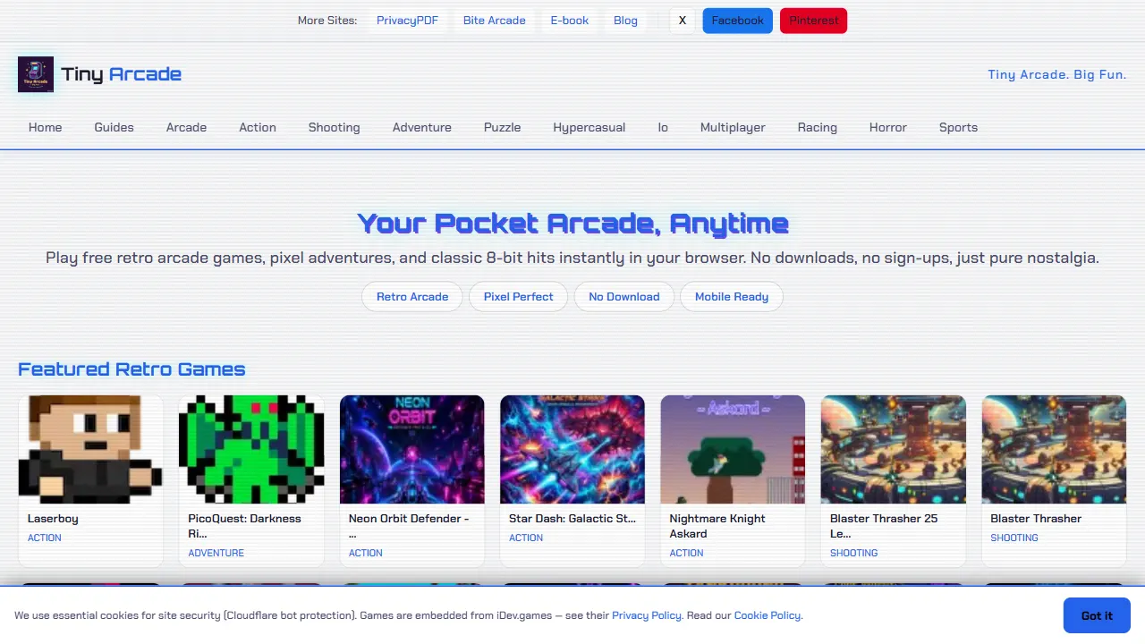 tiny arcade 网站模板截图
